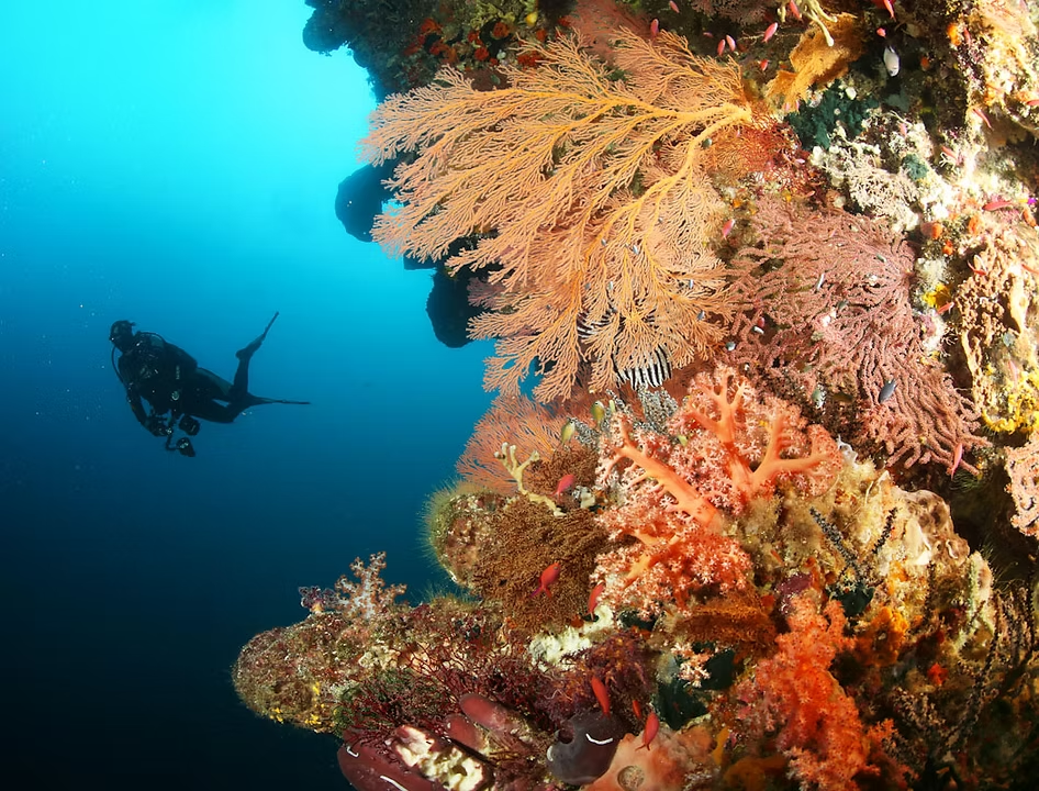 Snorkleing di Laut banda